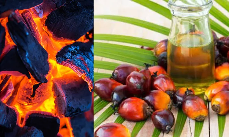 Oil and Coal Procurement and Sales